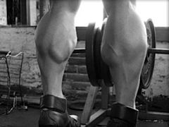 Calves Training