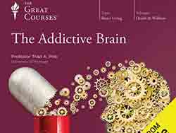 The Addictive Brain