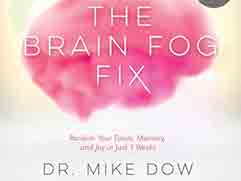 The Brain Fog Fix