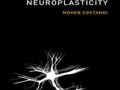 Neuroplasticity