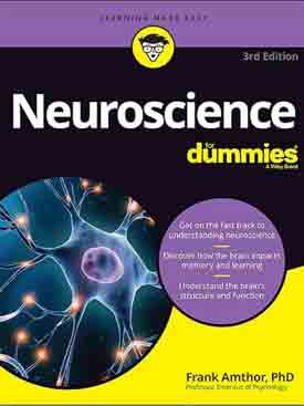 Neuroscience for Dummies